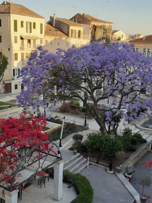 Apartment Old Town Corfu Romantic Studio Manto Nymfes Corfu (city)