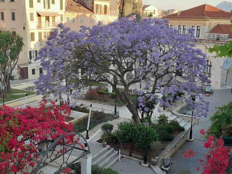 Old Town Corfu Romantic Studio Manto Nymfes Apartment *