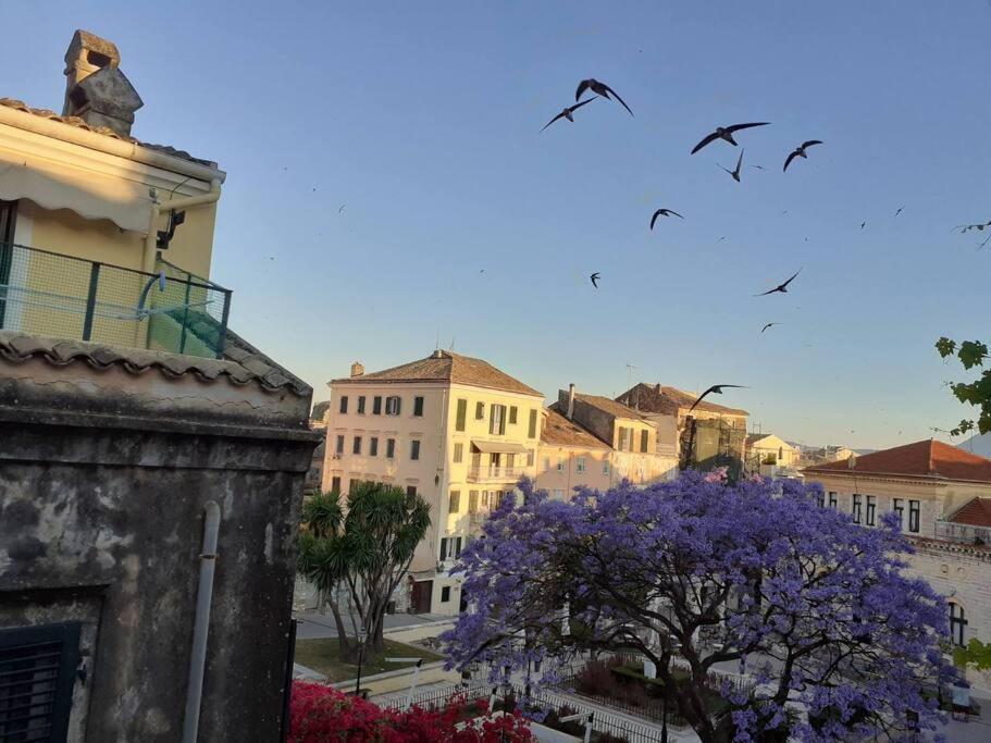 Old Town Corfu Romantic Studio Manto Nymfes *